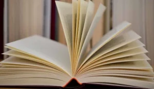 Dijital Kültür Derneği’nde başkanlığa yeniden Bilgehan Kafadar seçildi