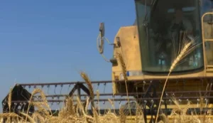 2025-2026 üretim yılı tazminat ödemeleri ve Doğrudan Gelir Desteği için son başvuru tarihi 27 Şubat