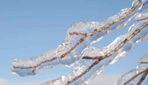 Yarın, pazar ve pazartesi sabah saatlerinde don olayı bekleniyor