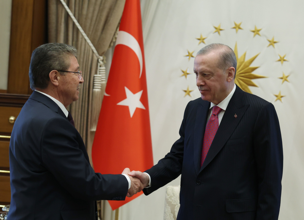 Başbakan Üstel: Anavatan ile ilişkiler Kıbrıs Türk halkı için yaşamsaldır