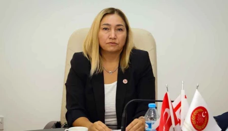 Meclis Hukuk Komitesi dört yasa tasarısını görüştü