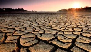 Kuraklık itiraz ödemeleri Tarım ve Doğal Kaynaklar Bakanlığı tarafından yapıldı