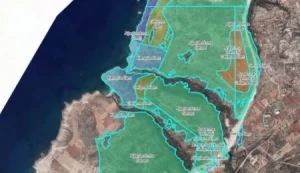 Baraka Kültür Merkezi: Orman arazilerinin İTÜ’ye tahsisi yaşam hakkını doğrudan tehdittir