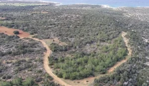 62 kuruluştan tepki: Ormanlar; devredilecek, pazarlanacak ya da belli çevrelere tahsis edilecek mülkler değildir