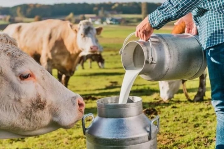 Süt Ürünleri İmalatçıları Birliği’nden çağrı!
