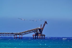 Lefke Çevre ve Ekoloji Derneği: Çevre sorunları ertelenemez bir noktaya ulaştı