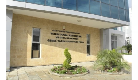 Tarım ve Doğal Kaynaklar Bakanlığı: Bölgelere su verilmeye başlandı; projede ilerleme var