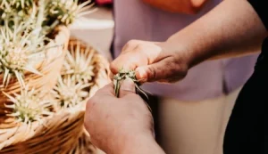 13’üncü Yiğitler Gafgarıt Festivali 5 Nisan’da başlıyor