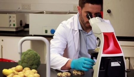 Gıda denetimleri: 4 üründe uygunsuz pestisit