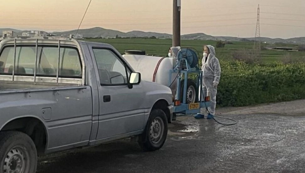 Güney Kıbrıs’ta şap hastalığı 110 çiftliğe yayıldı