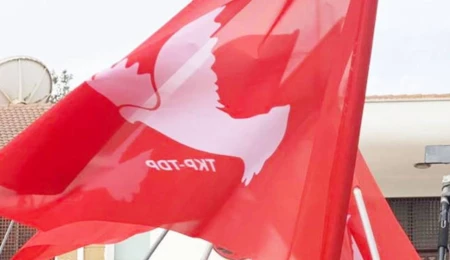 TDP: Basın özgürlüğü yoksa demokrasi yoktur