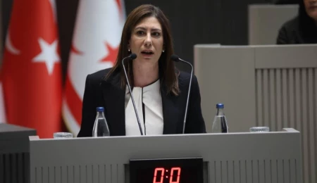 Türkiye’ye giriş yasaklarının kalkması hakkında Sıla Usar İncirli: Doğru girişimler sonuç verdi