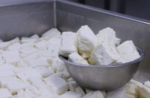 Güney Kıbrıs’ta şap hastalığı nedeniyle hellimde küçükbaş süt oranı düşürüldü