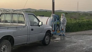 Güney Kıbrıs’ta şap hastalığı 110 çiftliğe yayıldı
