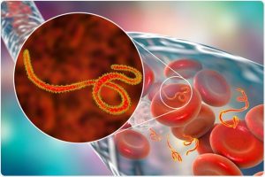 Bulaşıcı Hastalıklar Üst Komitesi’nden Ebola açıklaması