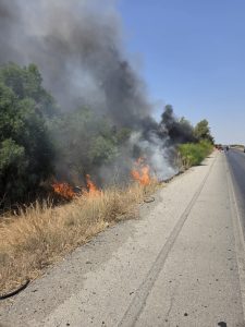 Kurudere köyü yakınlarındaki koruluk alanda yangın…